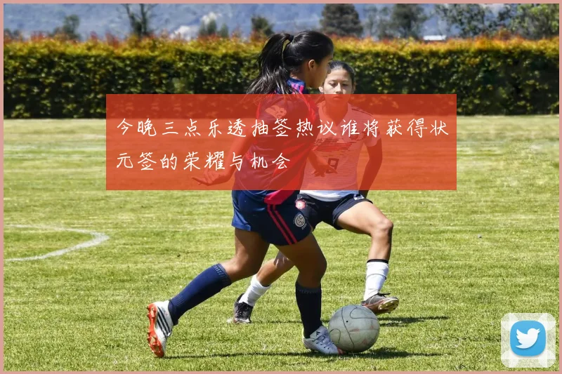 今晚三点乐透抽签热议谁将获得状元签的荣耀与机会
